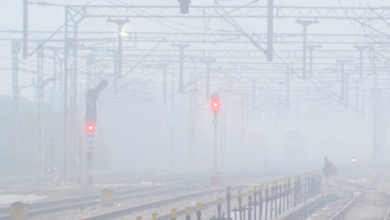 Photo of ठंड से कंपकपाया पंजाब: कोहरे के साथ चली शीत लहर से बढ़ी ठिठुरन