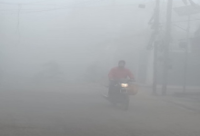 Photo of घने कोहरे की चपेट में पंजाब: शीतलहर से कंपकंपाए लोग, फरीदकोट सबसे ठंडा