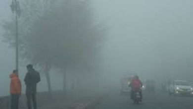 Photo of आज घने कोहरे का ऑरेंज अलर्ट, 30 और 31 दिसंबर को बारिश के आसार