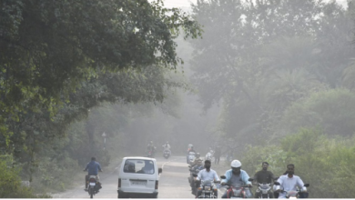 Photo of मध्यप्रदेश में कड़ाके की सर्दी का प्रकोप, पारा 4 डिग्री से नीचे