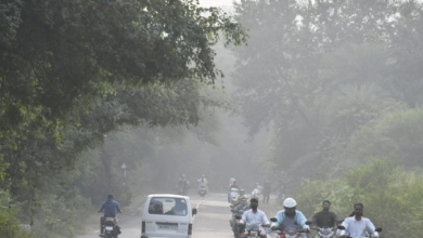 Photo of मध्यप्रदेश में बढ़ने लगी ठिठुरन, अगले दो दिन में पढ़ेगी कड़ाके की सर्दी