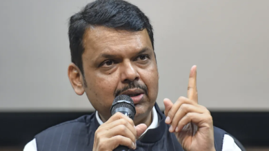 Photo of सीएम फडणवीस पर बनाया पुराना वीडियो वायरल, BJP ने काटा महिला नेता का टिकट