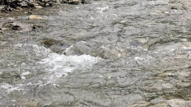 Photo of पौड़ी और नैनीताल की तीन नदियों को मिलेगा नया जीवन, शासन ने दी 5.19 करोड़ रुपये की स्वीकृति