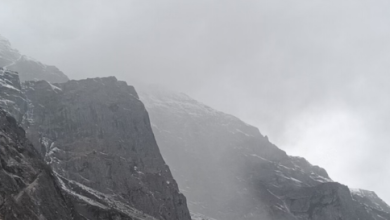 Photo of बारिश-बर्फबारी की बेरुखी का असर, छह जिलों में घने कोहरे की चेतावनी