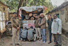 Photo of वन विभाग की बड़ी कार्रवाई, डेढ़ लाख की अवैध सागौन के साथ पिकअप जब्त