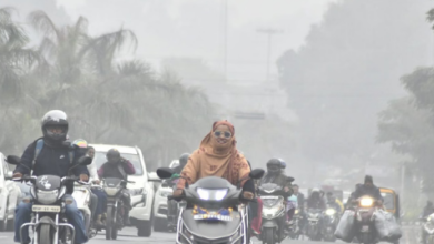 Photo of बर्फीली हवाओं का असर, मध्यप्रदेश में 4.6 डिग्री तक गिरा पारा, कोहरे ने बढ़ाई मुश्किलें