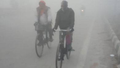 Photo of पंजाब में चार दिन घने कोहरे का अलर्ट: दो पश्चिमी विक्षोभ सक्रिय होने से बदलेगा मौसम