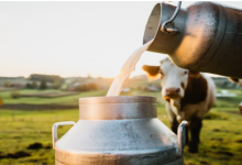 Photo of सीईईडब्ल्यू की रिपोर्ट: पंजाब में 78 प्रतिशत लोग दूध की बिक्री के लिए पाल रहे पशु