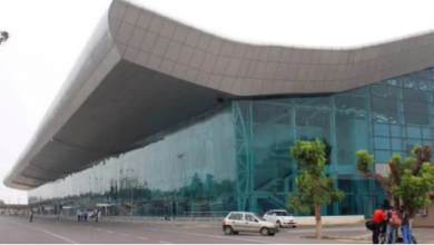 Photo of अमृतसर एयरपोर्ट पर वन्यजीव तस्करी का मामला उजागर