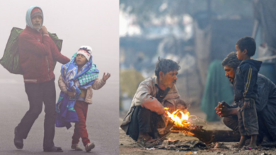 Photo of पंजाब में ठंड का प्रकोप: पारा 0.8 डिग्री पर पहुंचा, शीत लहर व घने कोहरे का ऑरेंज अलर्ट