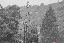 Photo of देहरादून में आज बारिश की चेतावनी, 12वीं तक के स्कूल बंद, बर्फबारी को लेकर ऑरेंज अलर्ट