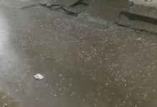 Photo of पंजाब में बारिश: लगातार दो पश्चिमी विक्षोभ से मौसम बदला, पटियाला में गिरे ओले