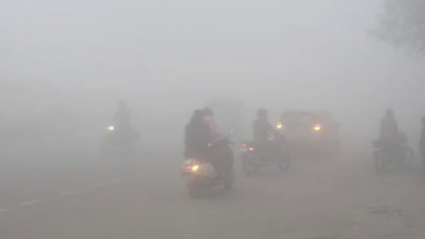 Photo of पंजाब में कड़ाके की ठंड: घने कोहरे से विजिबिलिटी शून्य, अमृतसर में लैंड नहीं हुई फ्लाइट्स