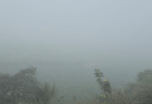 Photo of बिहार के इन जिलों घने कोहरे का अलर्ट, 24 घंटे में तीन डिग्री तक गिरेगा पारा