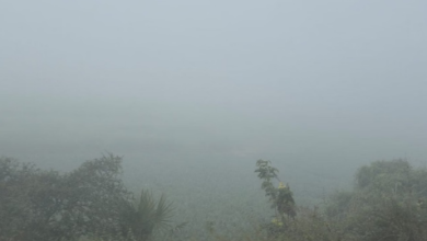 Photo of बिहार के इन जिलों घने कोहरे का अलर्ट, 24 घंटे में तीन डिग्री तक गिरेगा पारा