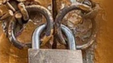 Photo of चीन के सस्ते फ्री-व्हील ने तोड़ी कमर, लुधियाना में दर्जनभर फैक्ट्रियों को लगे ताले!