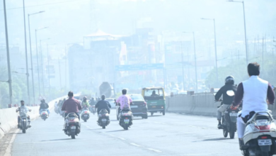 Photo of सुबह धुंध, दिनभर सर्दी, MP में जनजीवन प्रभावित,स्कूलों की छुट्टी