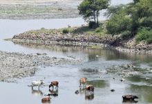 Photo of मैली यमुना वाली दिल्ली के लिए अभी क्रूज की सवारी दूर