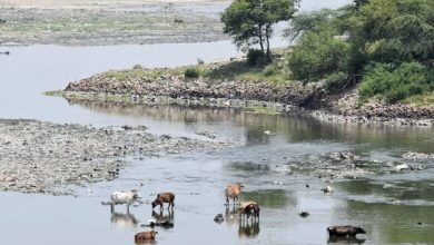 Photo of मैली यमुना वाली दिल्ली के लिए अभी क्रूज की सवारी दूर