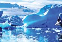 Photo of जलवायु परिवर्तन से मध्य हिमालय की जैव विविधता पर मंडरा रहा खतरा, बारिश का बदला स्वरूप