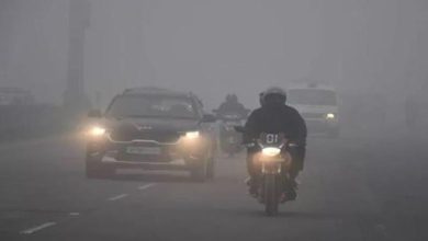 Photo of बरेली, गोरखपुर समेत कई जिलों में घना कोहरा, तापमान में उछाल का अलर्ट!