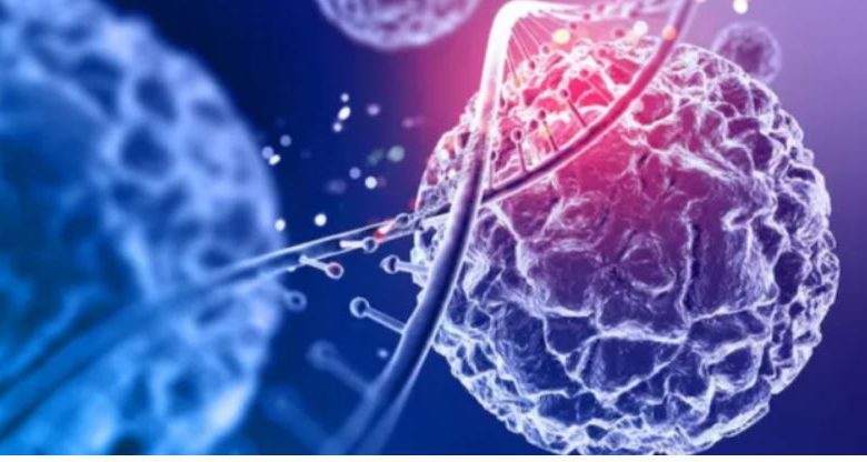 Photo of कैंसर के इलाज में बड़ी कामयाबी: IIT बॉम्बे ने खोजा टी-सेल्स को सुरक्षित रखने का नया तरीका