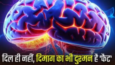 Photo of शरीर में फैट का संतुलन बिगड़ने से दिमाग की नसें हो जाती हैं कमजोर