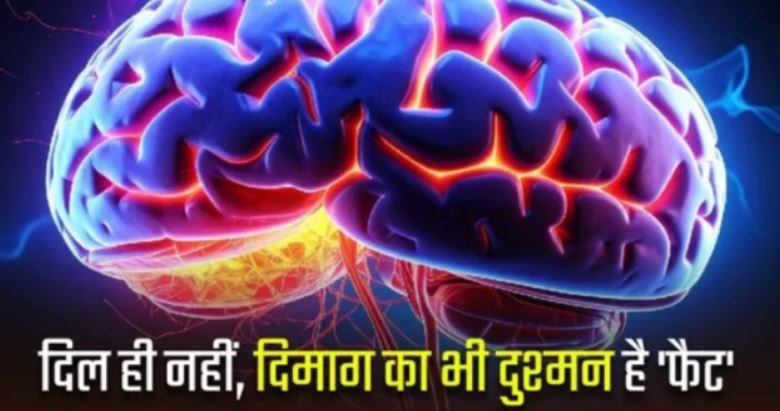 Photo of शरीर में फैट का संतुलन बिगड़ने से दिमाग की नसें हो जाती हैं कमजोर