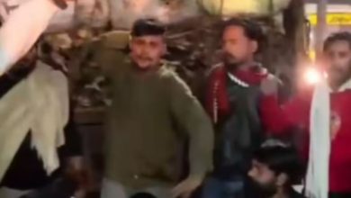 Photo of देर रात गौ सेवकों ने पकड़ा हड्डियों से भरा ट्रक, वाहन में तोड़फोड़ करने के बाद की गई नारेबाजी