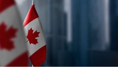 Photo of कनाडा एक्सप्रेस एंट्री में बड़ा बदलाव: डॉक्टर, शोधकर्ता और सैन्य पेशेवरों को पीआर प्राथमिकता