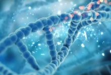 Photo of आप कितना लंबा जिएंगे? जवाब आपकी लाइफस्टाइल में नहीं, आपके DNA में छिपा है