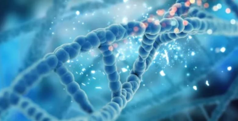 Photo of आप कितना लंबा जिएंगे? जवाब आपकी लाइफस्टाइल में नहीं, आपके DNA में छिपा है