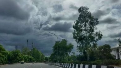 Photo of मार्च की शुरुआत में ही झुलसाने लगी गर्मी, पारा 39 डिग्री,सामान्य से 4.6 डिग्री ज्यादा तापमान