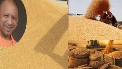 Photo of 30 मार्च से गेंहू की होगी खरीद, सरकार ने प्रति क्विंटल की दर से बढ़ाई है MSP