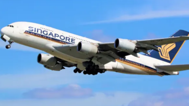 Photo of सिंगापुर एयरलाइंस में एयर होस्टेस के साथ छेड़छाड़, भारतीय यात्री गिरफ्तार