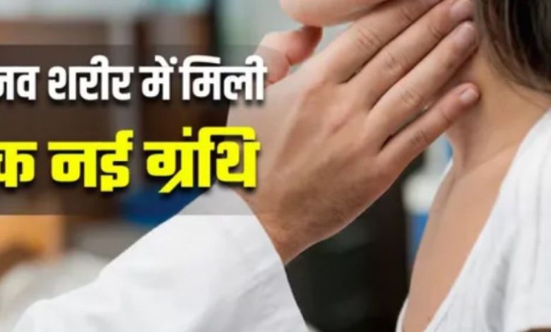 Photo of एम्स भोपाल की स्टडी से मेडिकल साइंस को नई उम्मीद, दुनिया के सामने आई शरीर की ये खास ग्रंथि