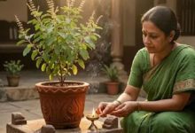 Photo of भारी कर्ज और दुखों से चाहिए छुटकारा? बस कर लें तुलसी से जुड़े ये उपाय