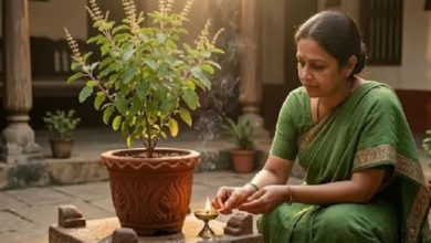 Photo of भारी कर्ज और दुखों से चाहिए छुटकारा? बस कर लें तुलसी से जुड़े ये उपाय
