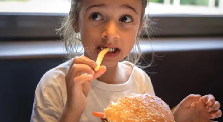 Photo of बच्चों की याददाश्त और स्वभाव बिगाड़ रहा है जंक फूड