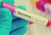 Photo of हंटावायरस के बाद Norovirus की एंट्री, फ्रांस में क्रूज शिप पर पेट संक्रमण का खतरा