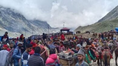 Photo of चारधाम यात्रा: घोड़ा-खच्चरों के संचालन के लिए नई SOP, पीटने और तेज दौड़ाने पर रोक