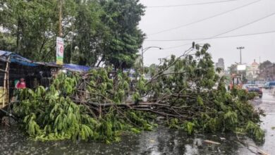 Photo of कुदरत का महातांडव: आंधी-वर्षा से बंगाल समेत कई राज्यों में तबाही
