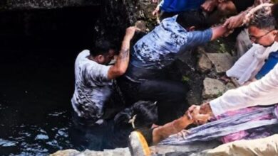 Photo of कानपुर में बड़ा हादसा: बीएड परीक्षा केंद्र के बाहर धंसी जर्जर स्लैब…
