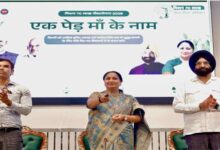 Photo of दिल्ली में ‘ग्रीन ड्राइव पोर्टल’ हुआ लॉन्च, सीएम गुप्ता ने 70 लाख पौधे लगाने का संकल्प दोहराया